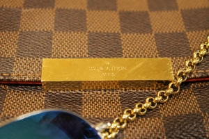 Review of the Louis Vuitton Favorite MM – Jessie's Nonsense